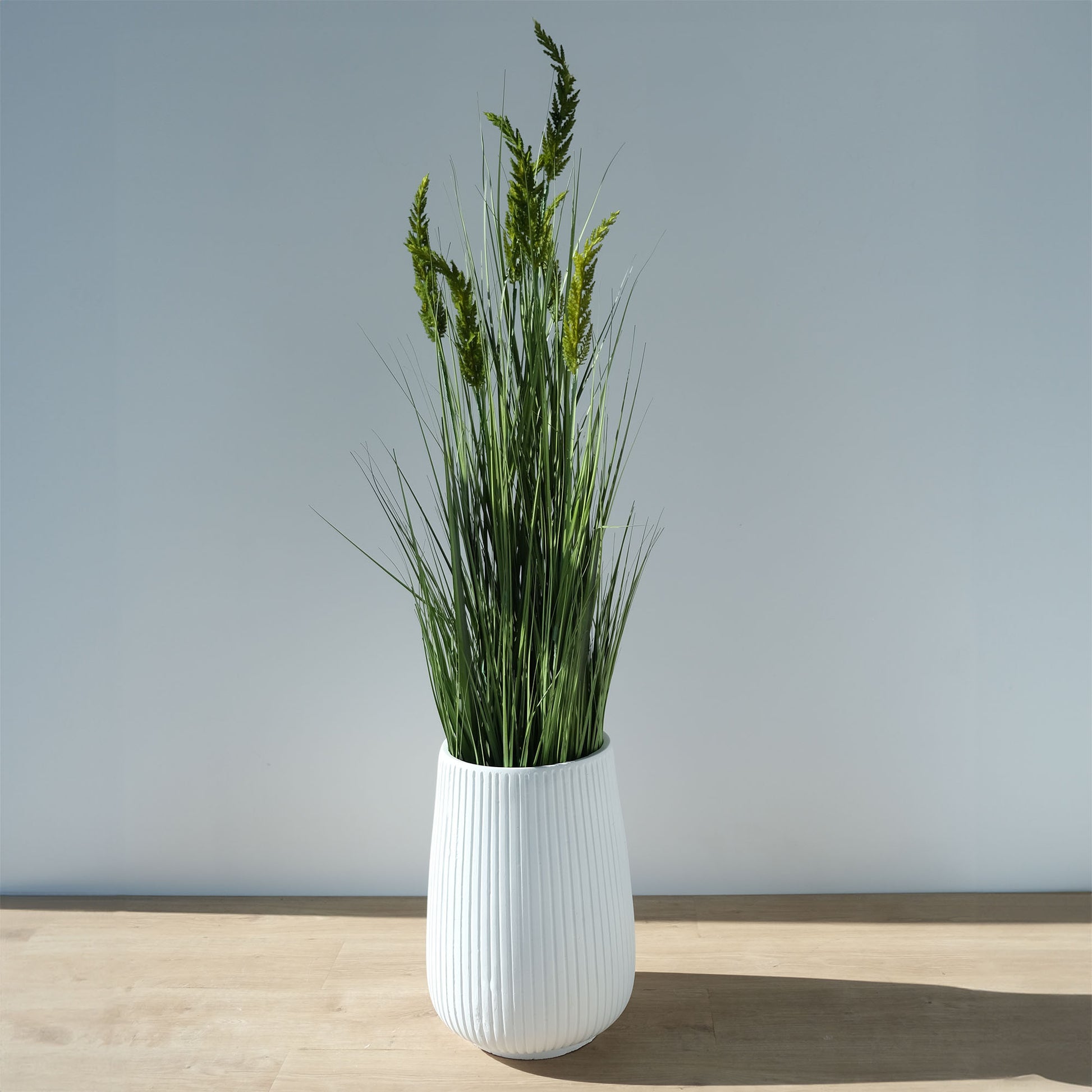 tall grass in a white planter