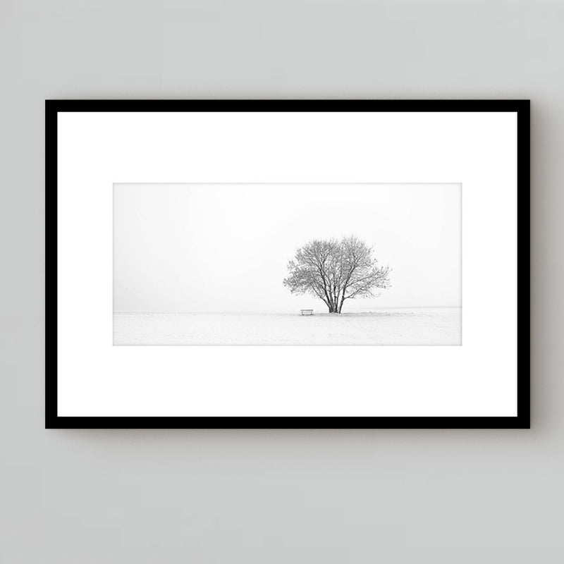 black and white photography under glass for a gallery wall