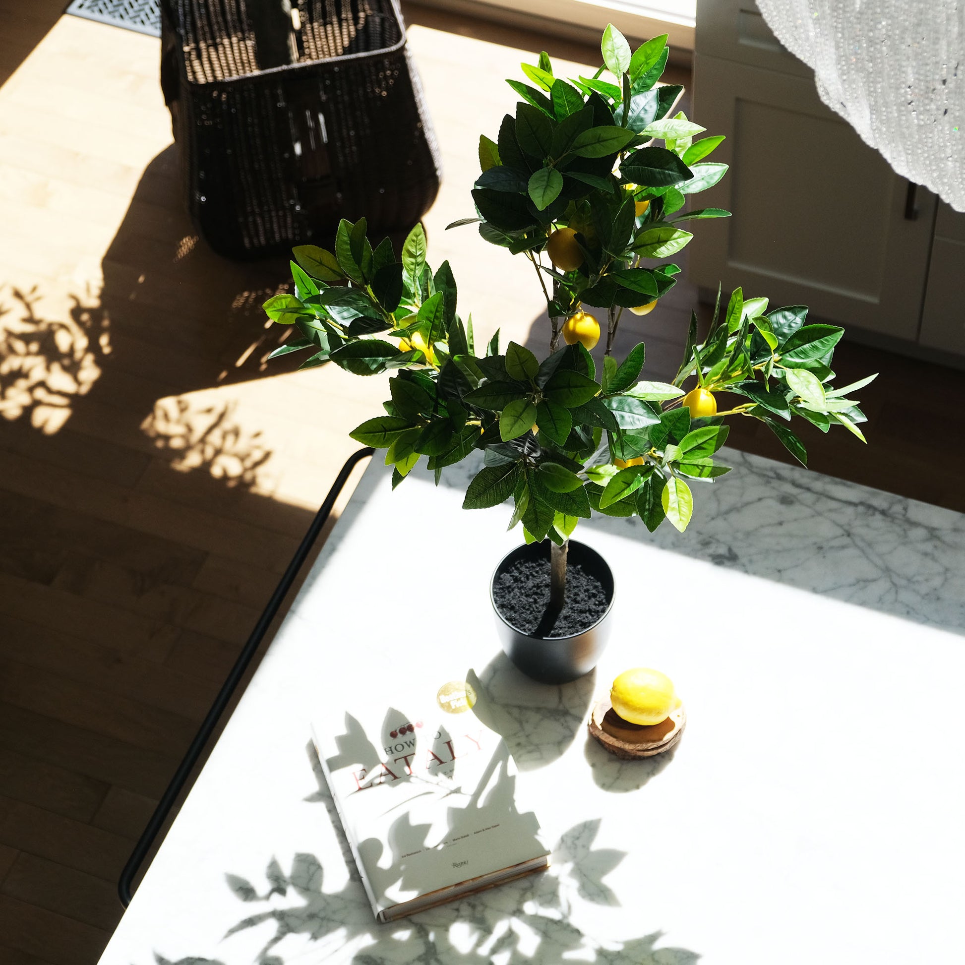 top view of lemon tree on kitchen counter