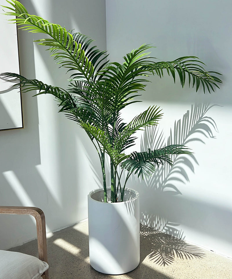 Sleek, modern indoor outdoor fiberglass planter with a palm tree