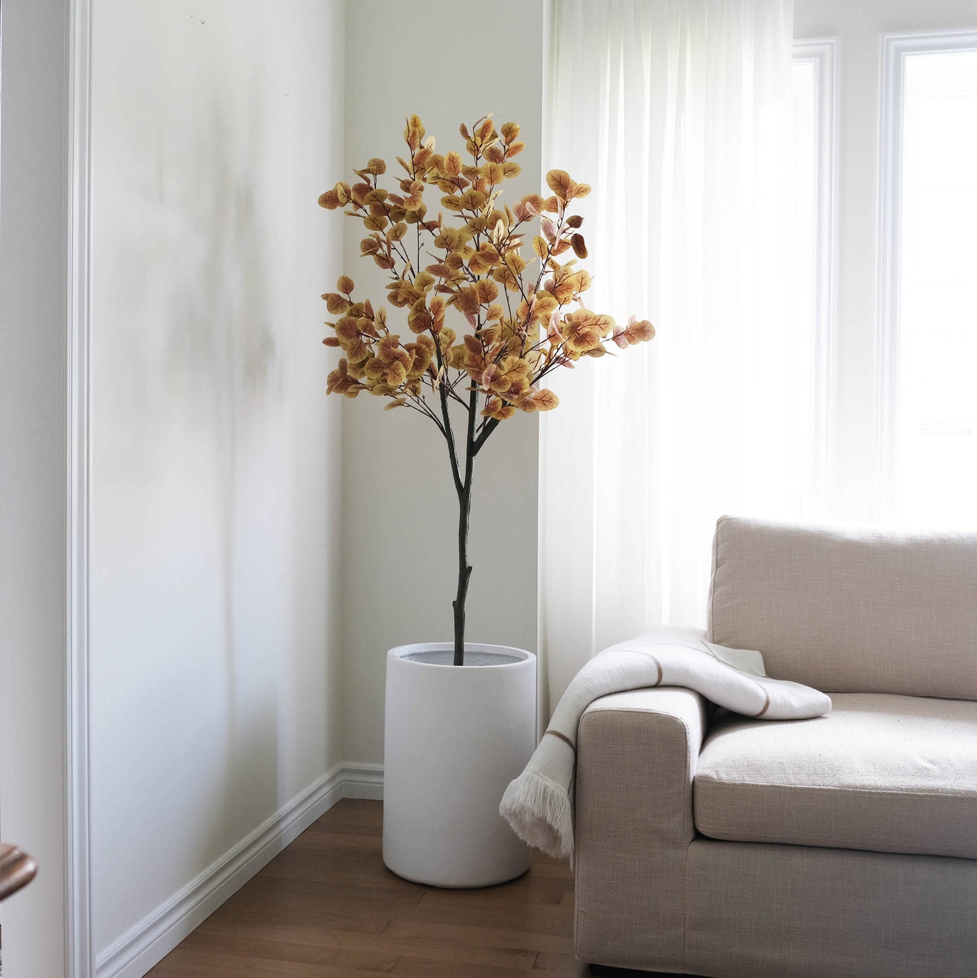 Sleek, modern indoor white fiberglass planter